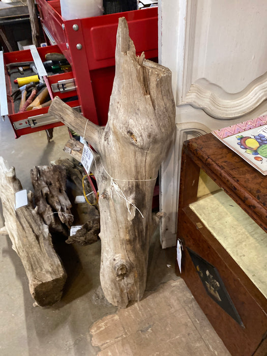 TREE STUMP