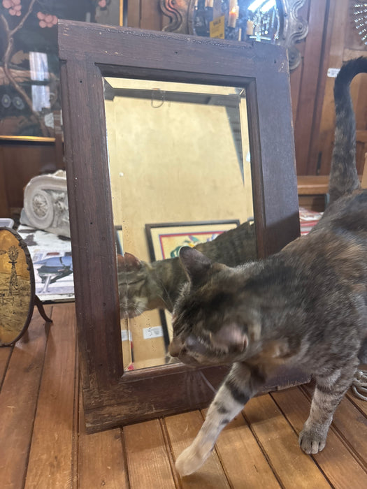 SMALL OAK WOOD BEVELED MIRROR