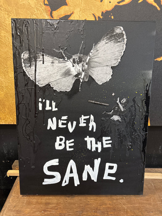 "I'LL NEVER BE SANE" ACRYLIC PAINTING WITH MOTH - BY DAVE NAVARRO AND PADHIA