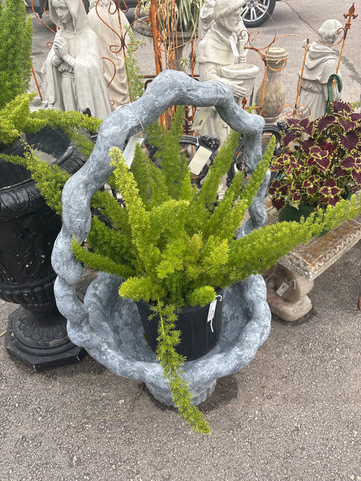 MEDIUM PLANT 1 OF 7 EACH