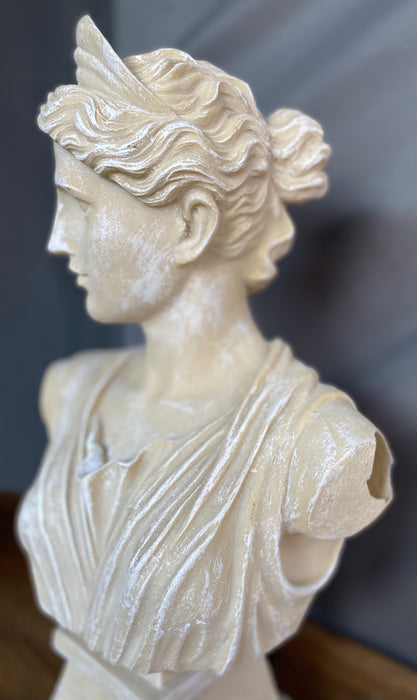 FEMALE BUST WITH HOLE IN ARM