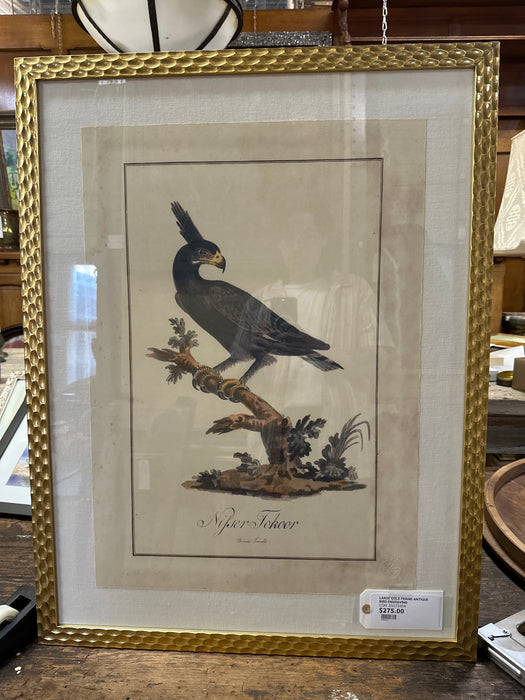 LARGE GOLD FRAME ANTIQUE BIRD ENGRAVING