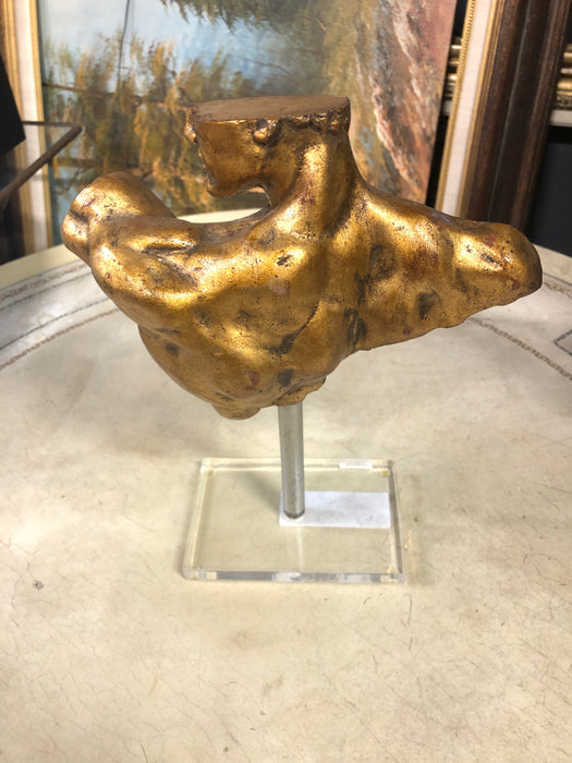 MALE TORSO ON LUCITE