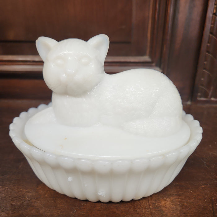 OPALESCENT CAT COVERED DISH