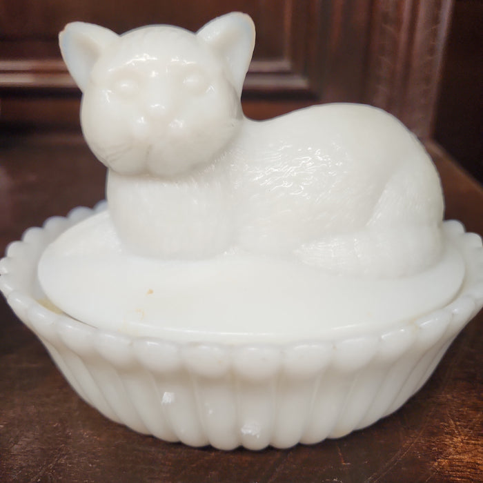 OPALESCENT CAT COVERED DISH