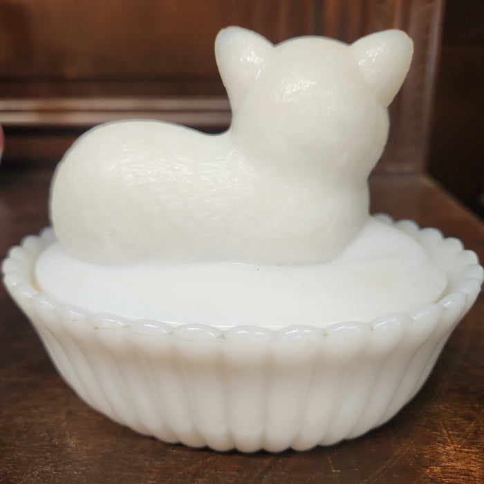OPALESCENT CAT COVERED DISH
