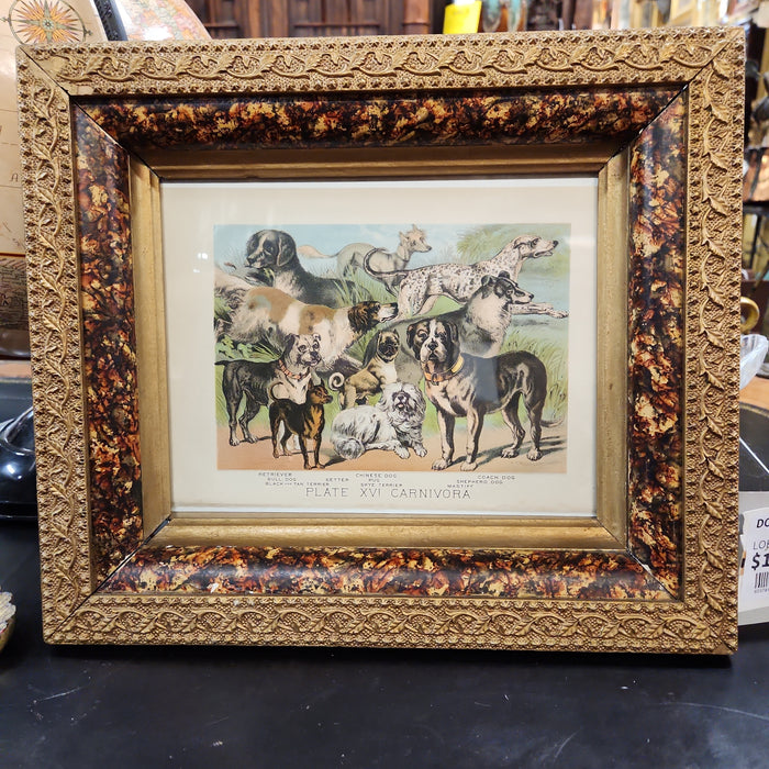 DOG PLATE ILLUSTRATION