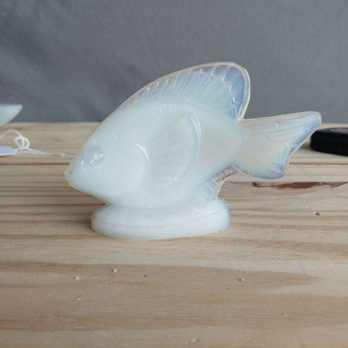 SABINO GLASS FISH