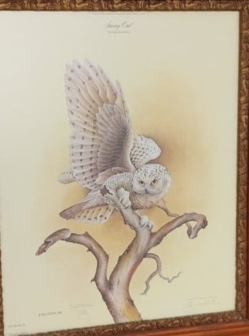 OWL PRINT IN ANTIQUE FRAME