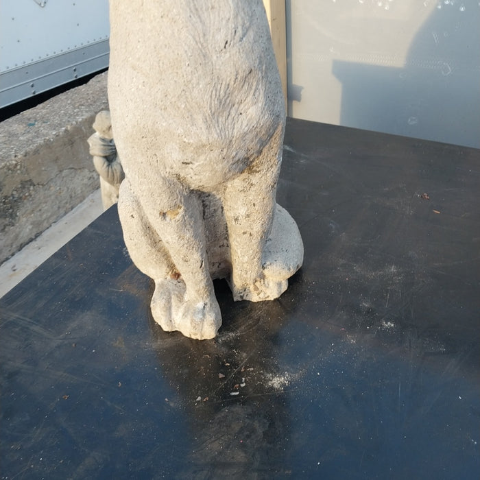 CONCRETE COYOTE