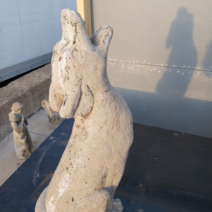 CONCRETE COYOTE
