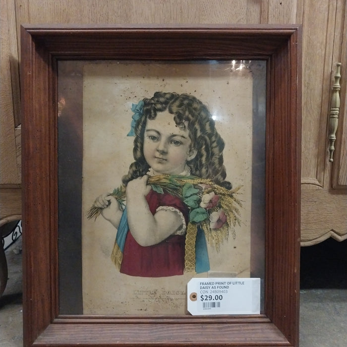 PINE FRAMED PRINT OF LITTLE DAISY AS FOUND