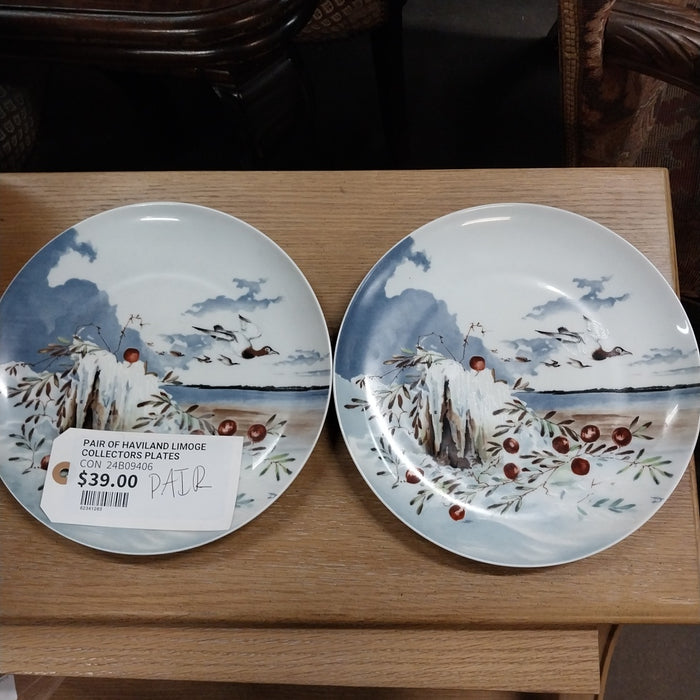 PAIR OF HAVILAND LIMOGE COLLECTORS PLATES