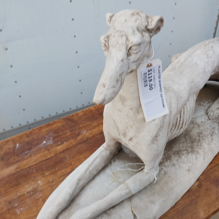 PLASTER WHIPPET AS FOUND