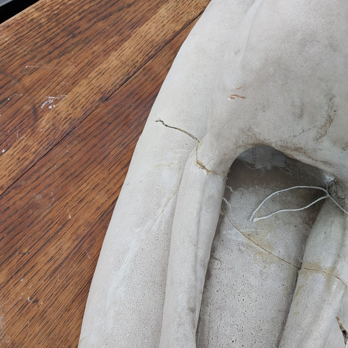 PLASTER WHIPPET AS FOUND