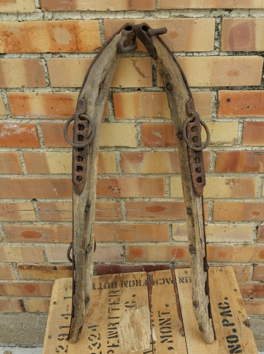 PAIR OF WOOD AND IRON HAINES