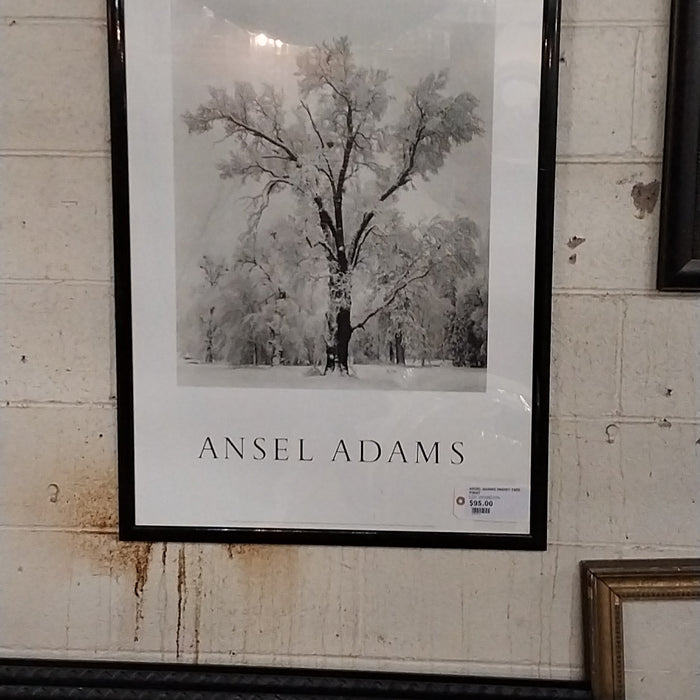 ANSEL ADAMS SNOWY TREE PRINT
