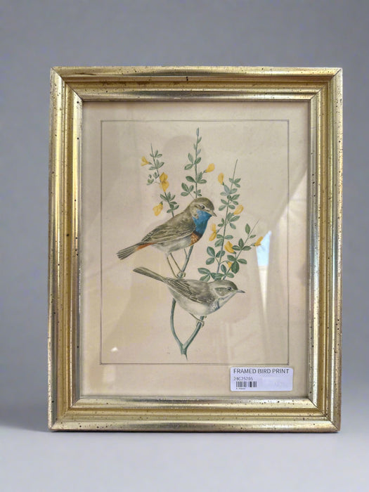 FRAMED BIRD PRINT