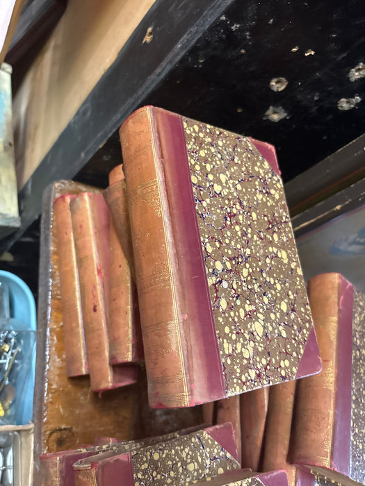 ANTIQUE BOOK 1 OF 24