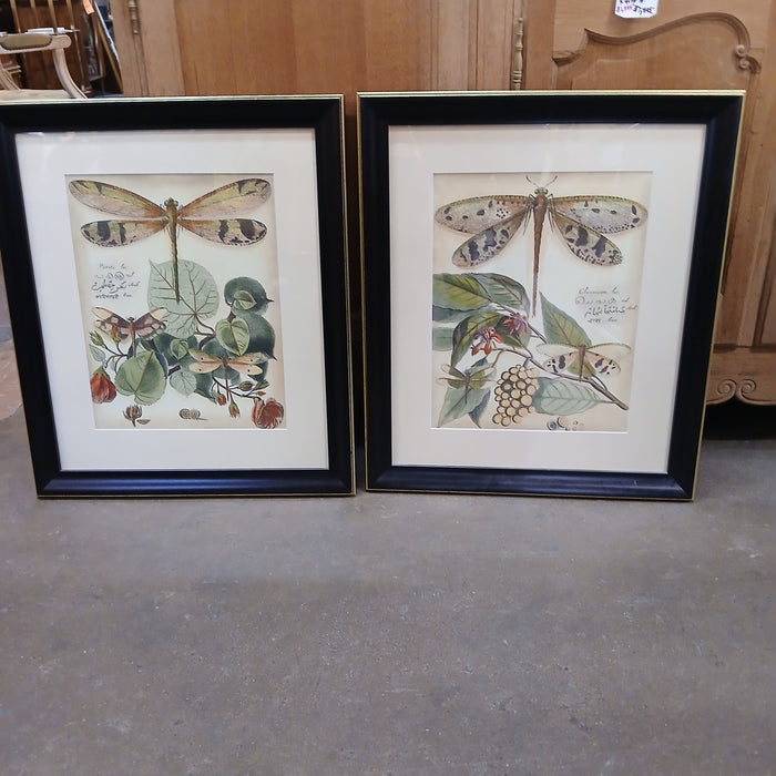 PAIR OF DRAGON FLY PRINTS NOT OLD