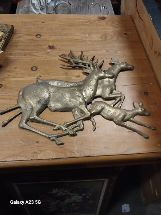 DEER FAMILY