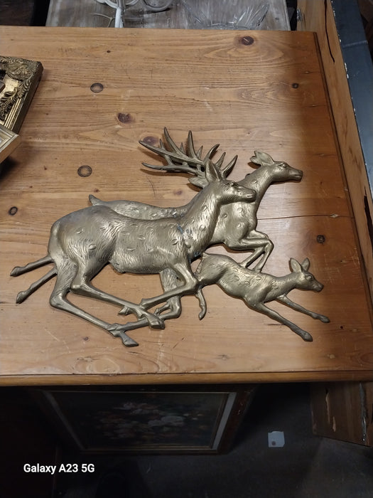 DEER FAMILY