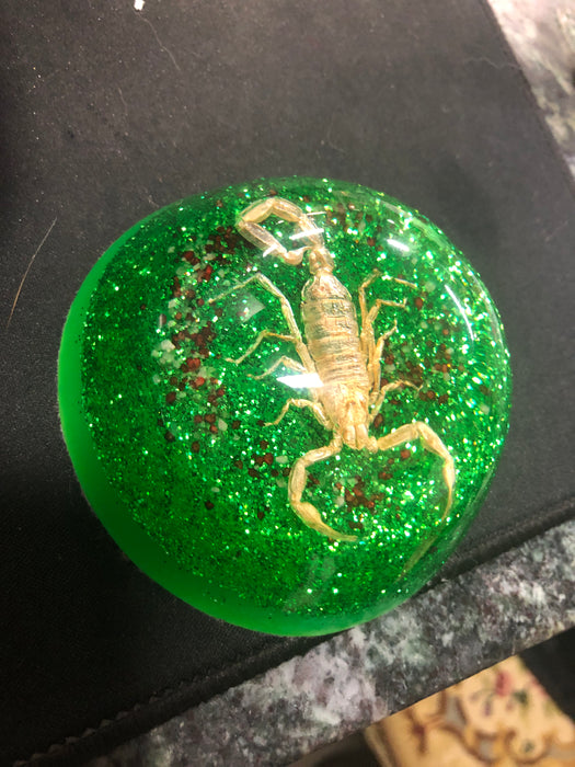 GREEN ACRYLIC SCORPION PAPER WEIGHT