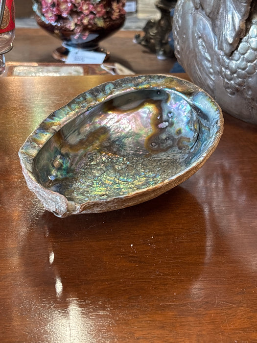 ABALONE SHELL