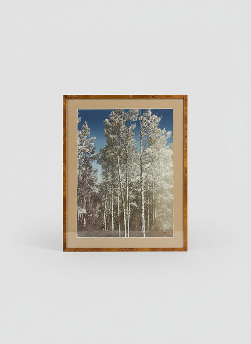 SIGNED PACE CONTEMPORARY TREE PAINTING