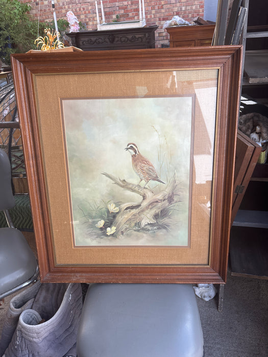 LARGE FRAMED PICTURE OF BIRD ON DRIFTWOOD - SIGNED ALISON 1976