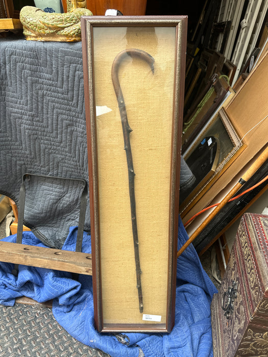 FRAMED CANE