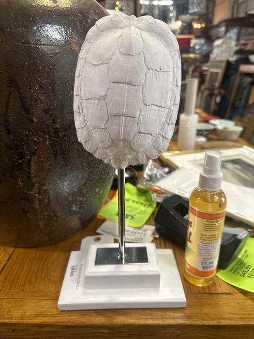 PLASTER TURTLE SHELL