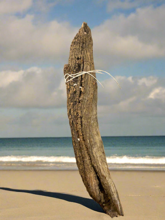 DRIFTWOOD BARK