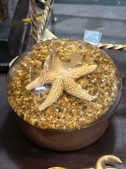 VINTAGE STARFISH PAPER WEIGHT