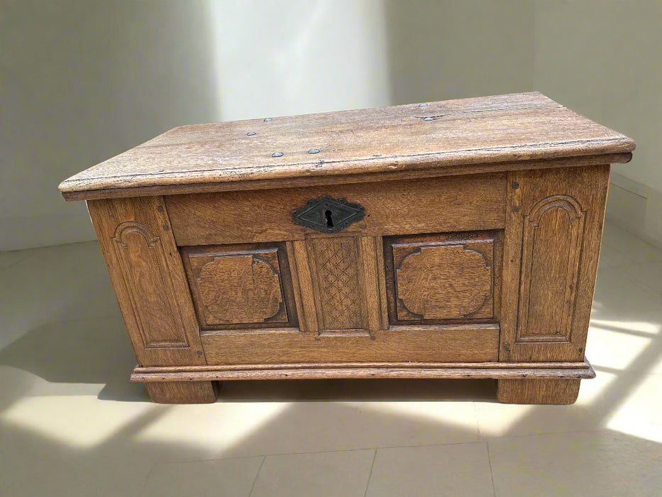 SMALL EARLY DARK OAK PANELED  COFFER
