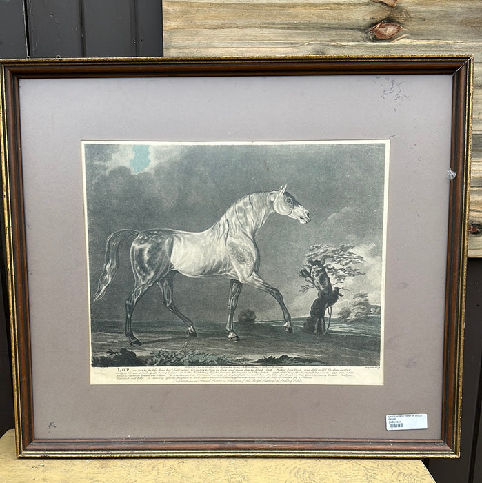 LARGE HORSE PRINT IN WOOD FRAME
