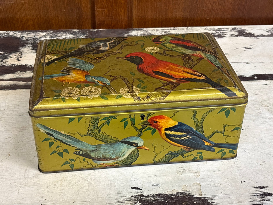 LARGE GREEN TIN BOX WITH COLORFUL BIRDS