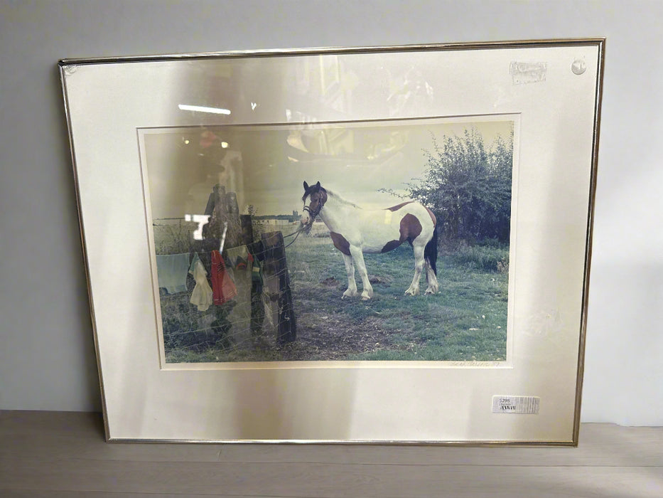 SARAH CARSON (DALLAS LISTED PHOTOS)