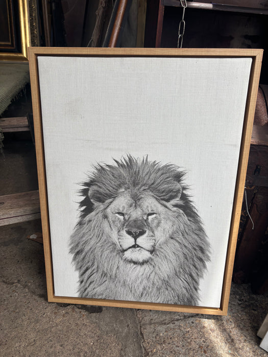 LION ON CANVAS LITHOGRAPH