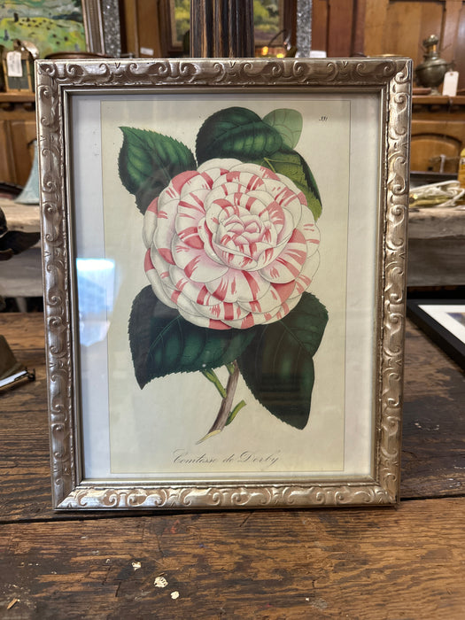 FRAMED FLOWER PRINT