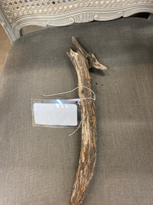 BIRD HEAD SHAPED DRIFTWOOD