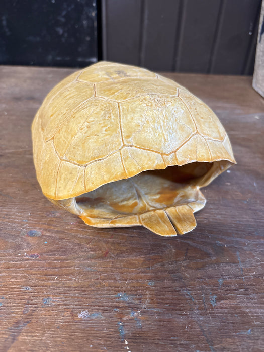 TURTLE SHELL