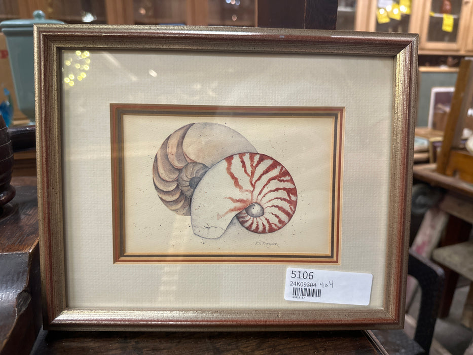 SMALL NAUTILIS PRINT