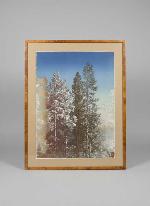 SIGNED PACE CONTEMPORARY TREE PAINTING