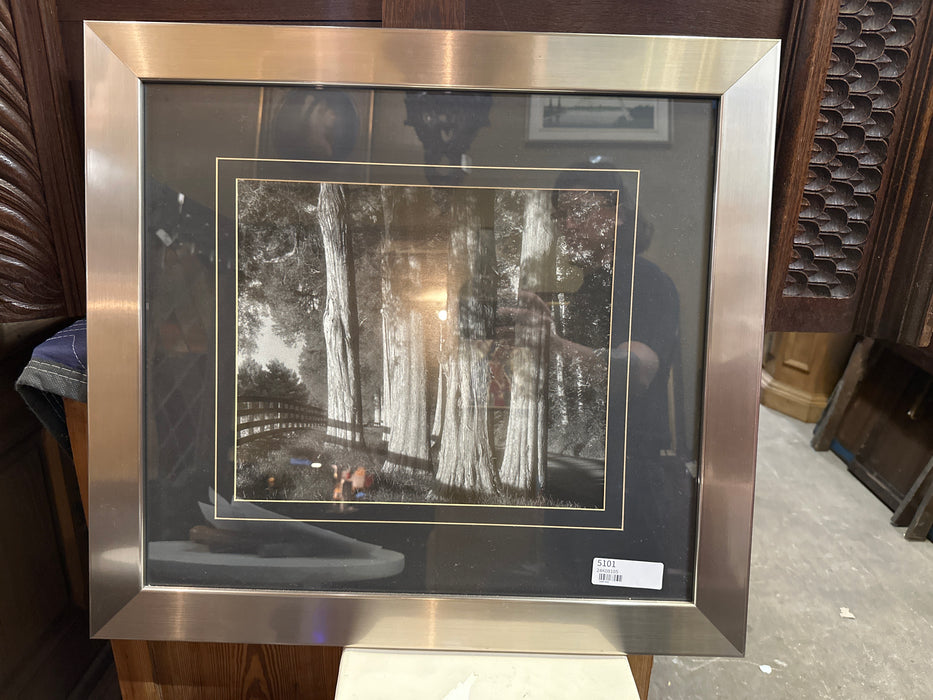 SILVER FRAMED PHOTO PRINT OF TREES