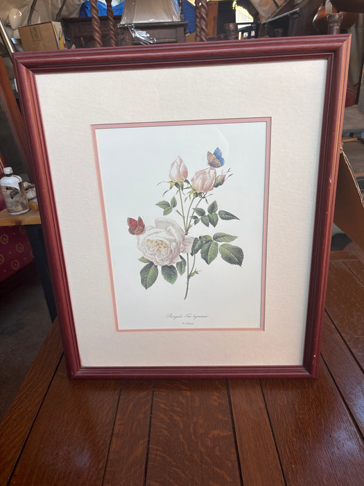 FRAMED BOTANICAL OF MAGNOLIA AND BUTTERFLY
