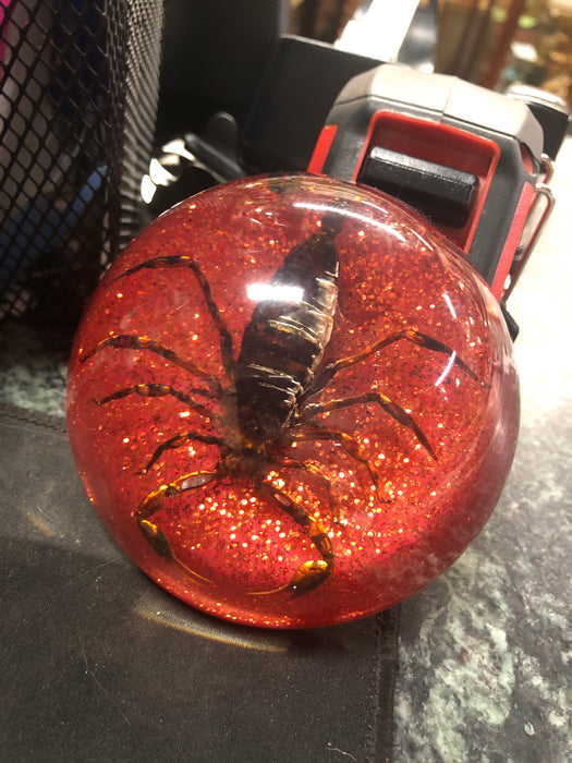 RED ACRYLIC SCORPION PAPER WEIGHT