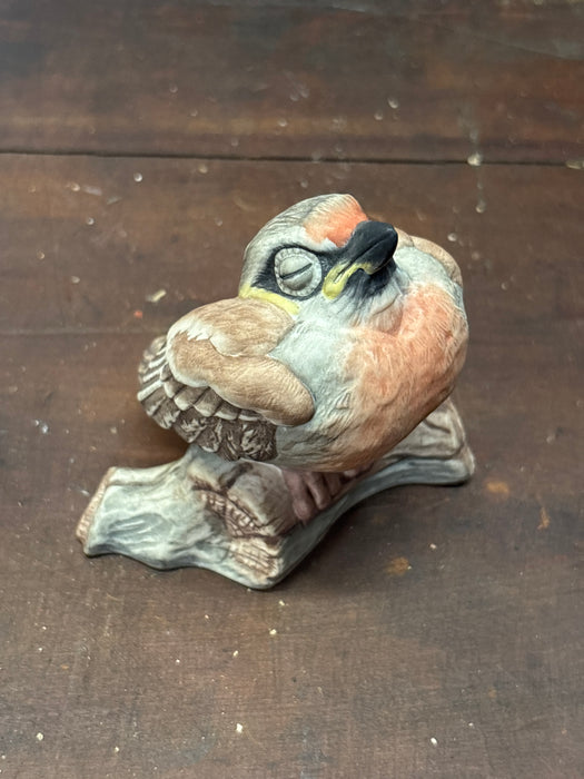 PORCELAIN BOEHM FLEDGING RED POLL