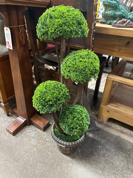 PLASTIQUE TOPIARY