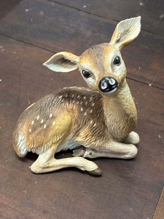 BISQUE WHITE TAILED BABY DEER